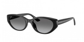 Ray-Ban RB4457D