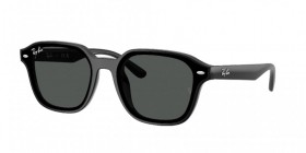Ray-Ban RB4458D